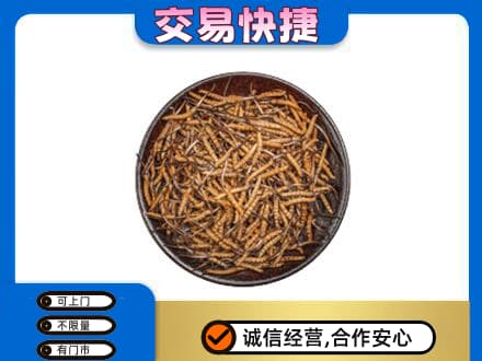 黑河市礼品回收虫草.jpg